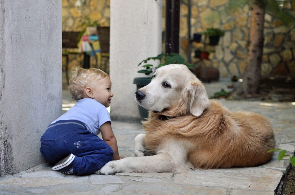 dog and baby laying on ground